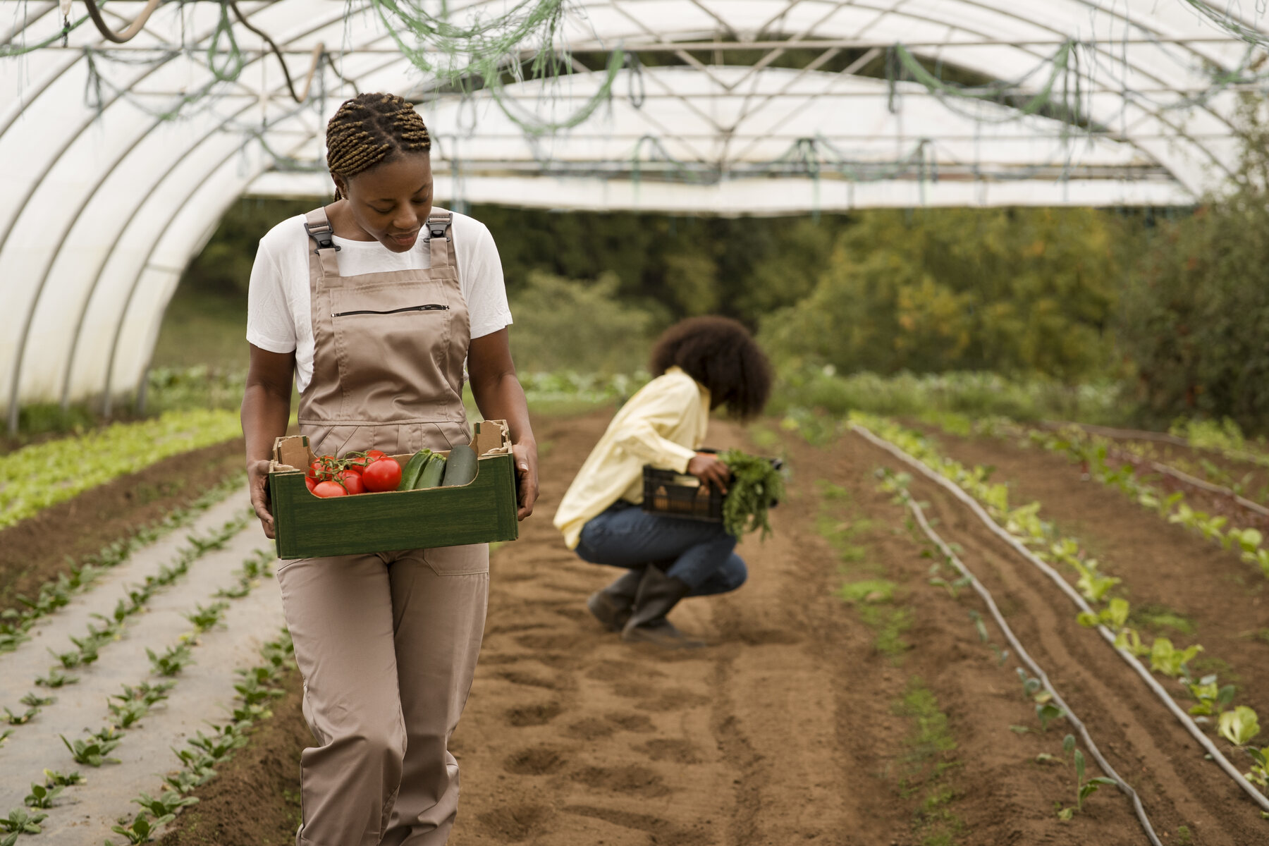 Climate smart food systems